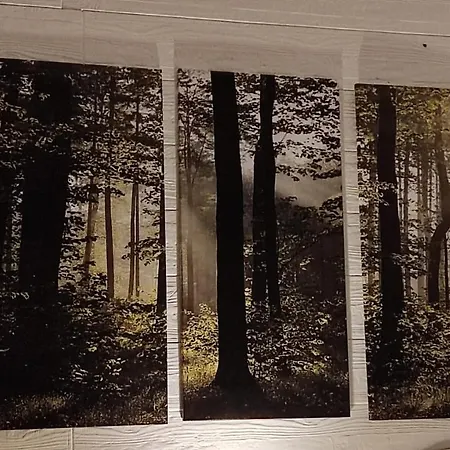 דירה Maison Lido Silvana פולסנו