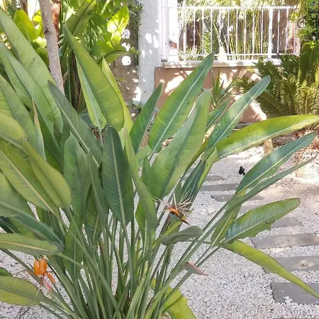 Maison Lido Silvana *