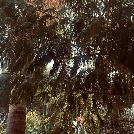 דירה Maison Lido Silvana *