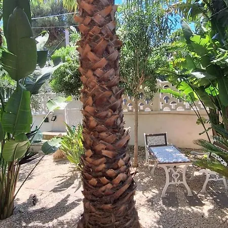 Apartamento Maison Lido Silvana *