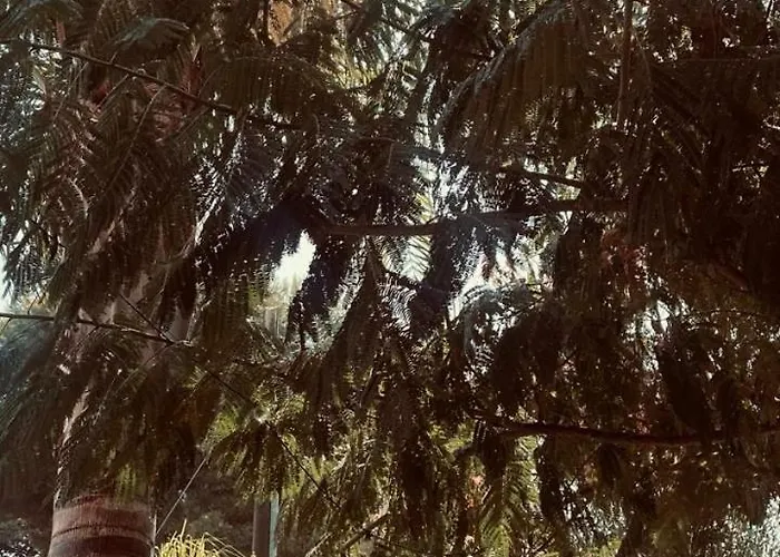 Appartamento Maison Lido Silvana *